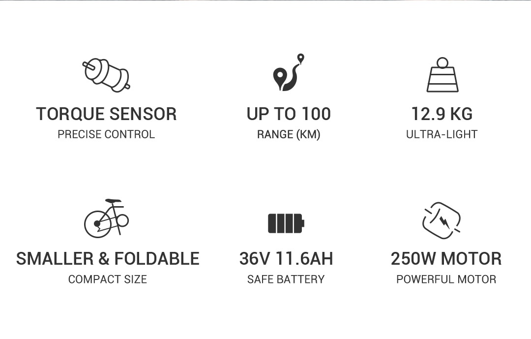 FIIDO D21 FOLDING ELECTRIC BIKE TORQUE SENSOR[ D21 out of production ...