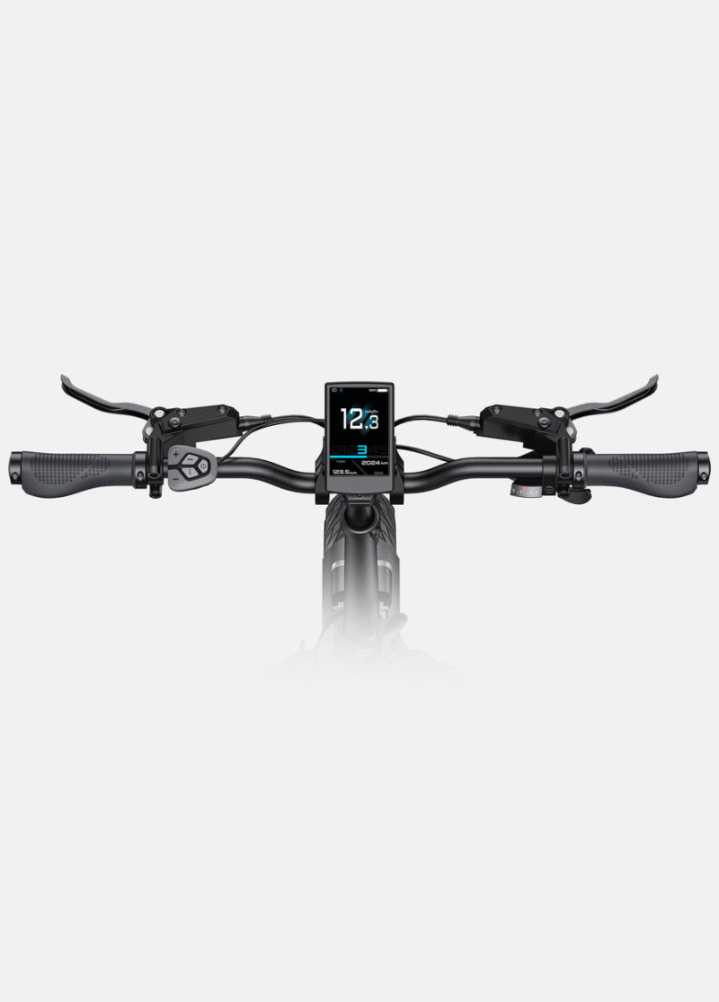 ENGWE L20 3.0 Pro 250W 100Nm Mid-drive Motor Full Suspension Compact E-bike - Image 13